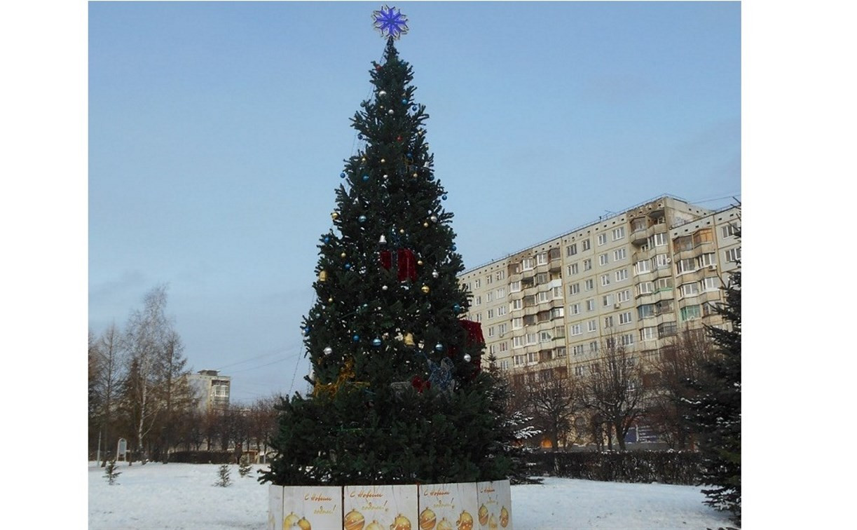В Зареченском округе установили елки