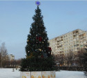 В Зареченском округе установили елки