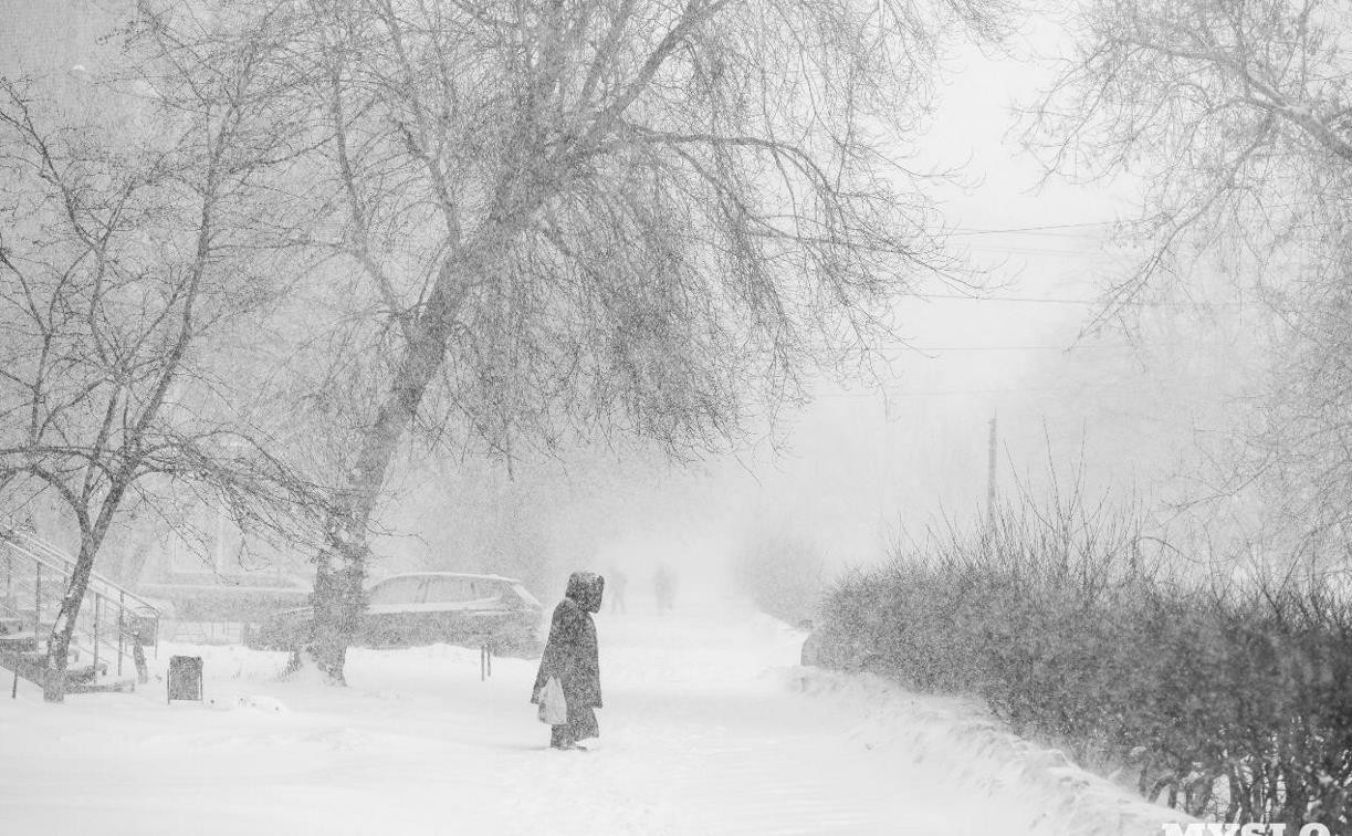 В ближайшую неделю в Тульской области может выпасть вся январская норма снега