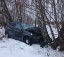 Житель Москвы на «Рено» на скорости вылетел в кювет и врезался в дерево