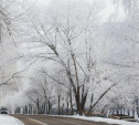 Погода в Туле 23 февраля: тихо, морозно и малооблачно