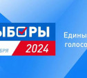 В Тульской области открылась горячая линия по вопросам избирательных прав