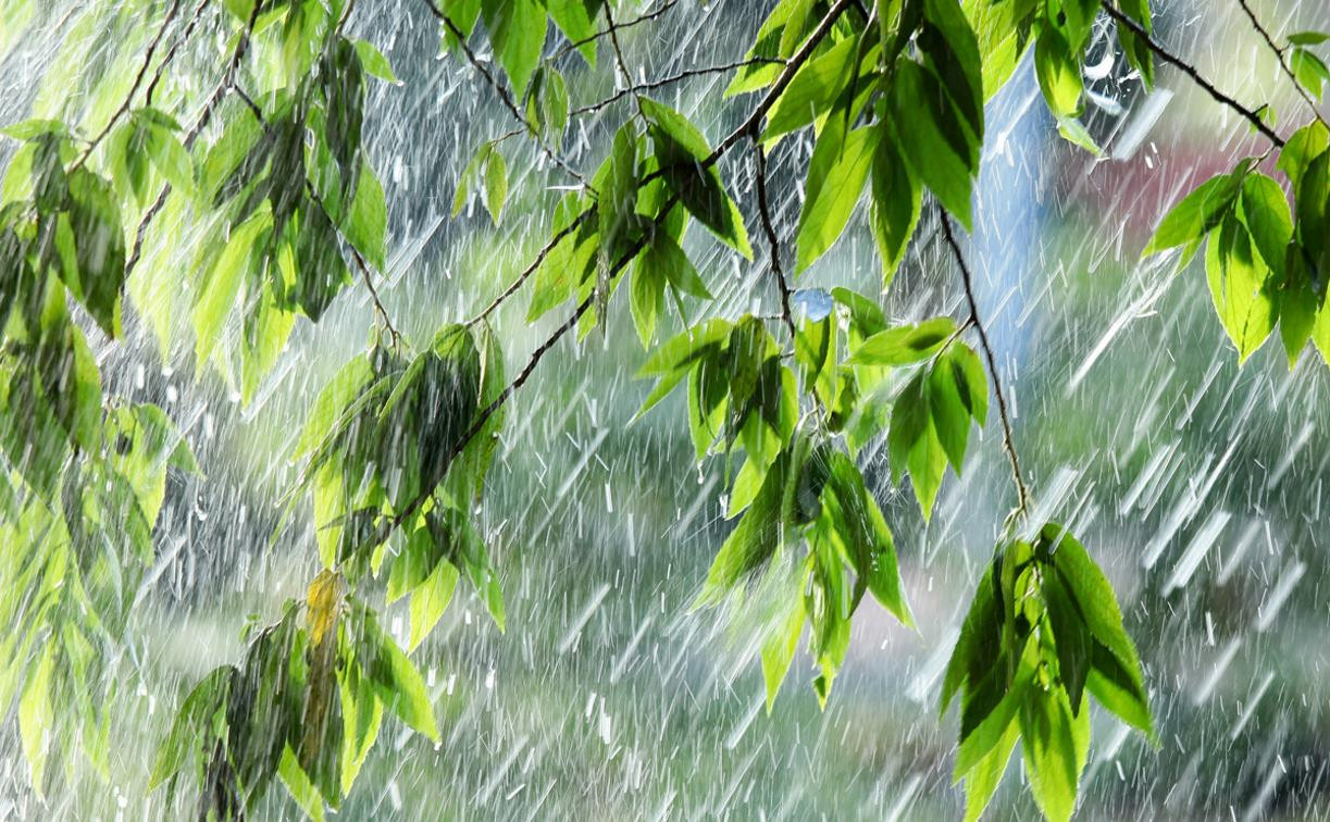Погода в Туле 18 августа: дождливо и до +33