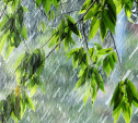 Погода в Туле 18 августа: дождливо и до +33