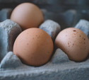 В Алексинском районе появится завод по производству куриного яйца