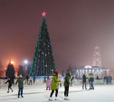 За установку главной новогодней елки Тула заплатит 3,4 млн рублей