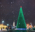 Тула вошла в топ-3 городов России с самыми высокими новогодними ёлками