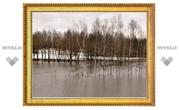 Тульская река Воронка поднялась на три сантиметра