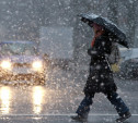 Погода в Тульской области 18 февраля: снег, дождь и гололедица