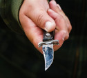 В Ефремове пьяный бомж ранил складным ножом 15-летнюю девочку