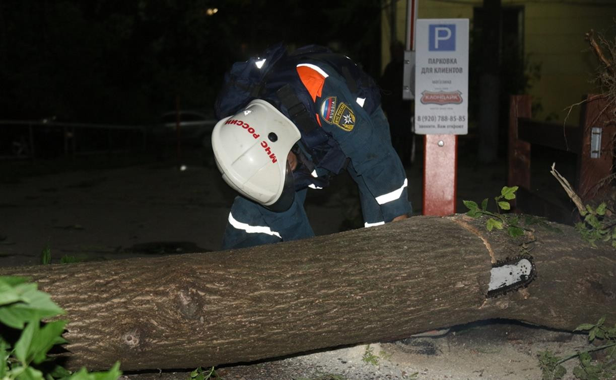С улиц Тулы убрали почти 200 поваленных деревьев