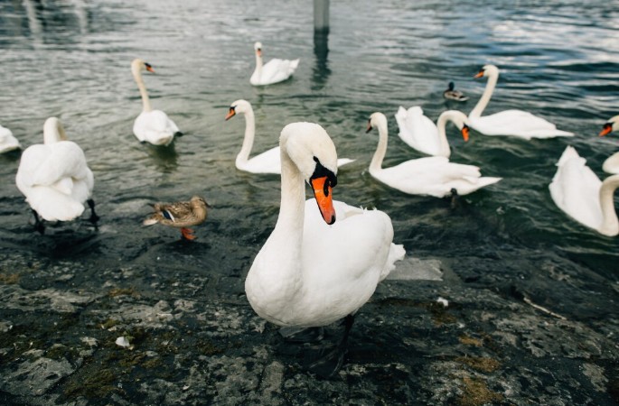 Погода в Туле 6 апреля: до +8 градусов и дождь