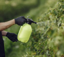 В Кимовском районе фермеры нарушили правила использования пестицидов