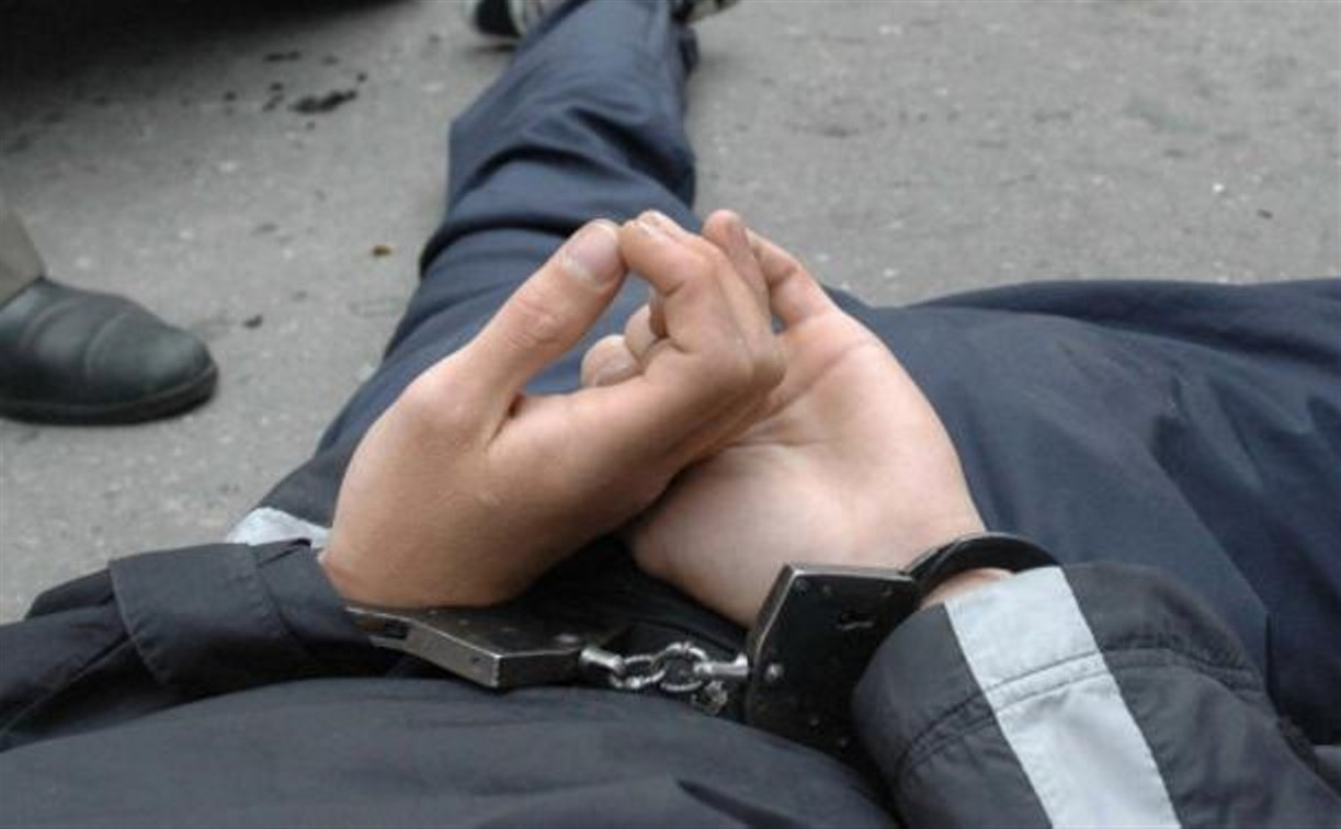 Тульские полицейские изъяли у наркокурьера почти полкило амфетамина