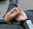 Тульские полицейские изъяли у наркокурьера почти полкило амфетамина