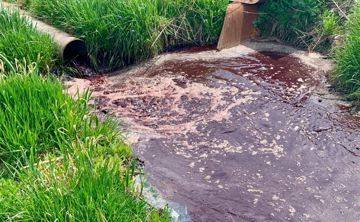 Кровавый пруд и мертвые бобры: мясокомбинат подозревают в загрязнении водоема в Донском