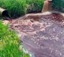 Кровавый пруд и мертвые бобры: мясокомбинат подозревают в загрязнении водоема в Донском