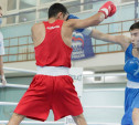 В Туле стартовали Всероссийские соревнования по боксу
