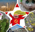 Цветы, чистые лайны и гречка: туляки делятся антипаническими новостями