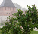 Погода в Туле 28 июля: жара, грозовые дожди и град