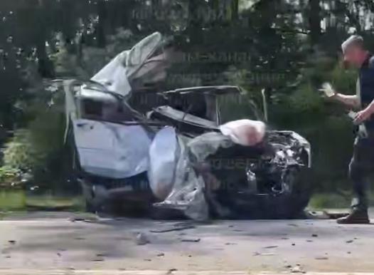 На трассе под Тулой Nissan сбил лося и врезался во встречный SITRAK