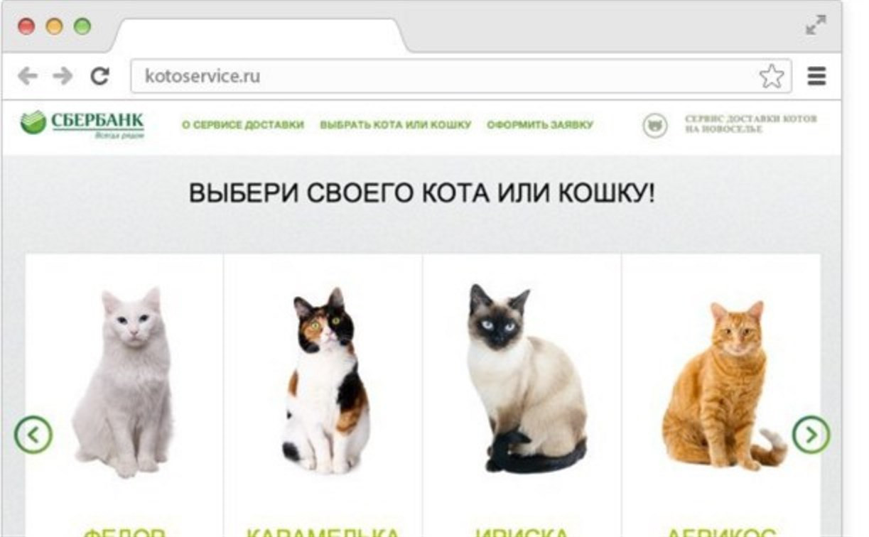 Сбербанк запустил сервис доставки котов на новоселье
