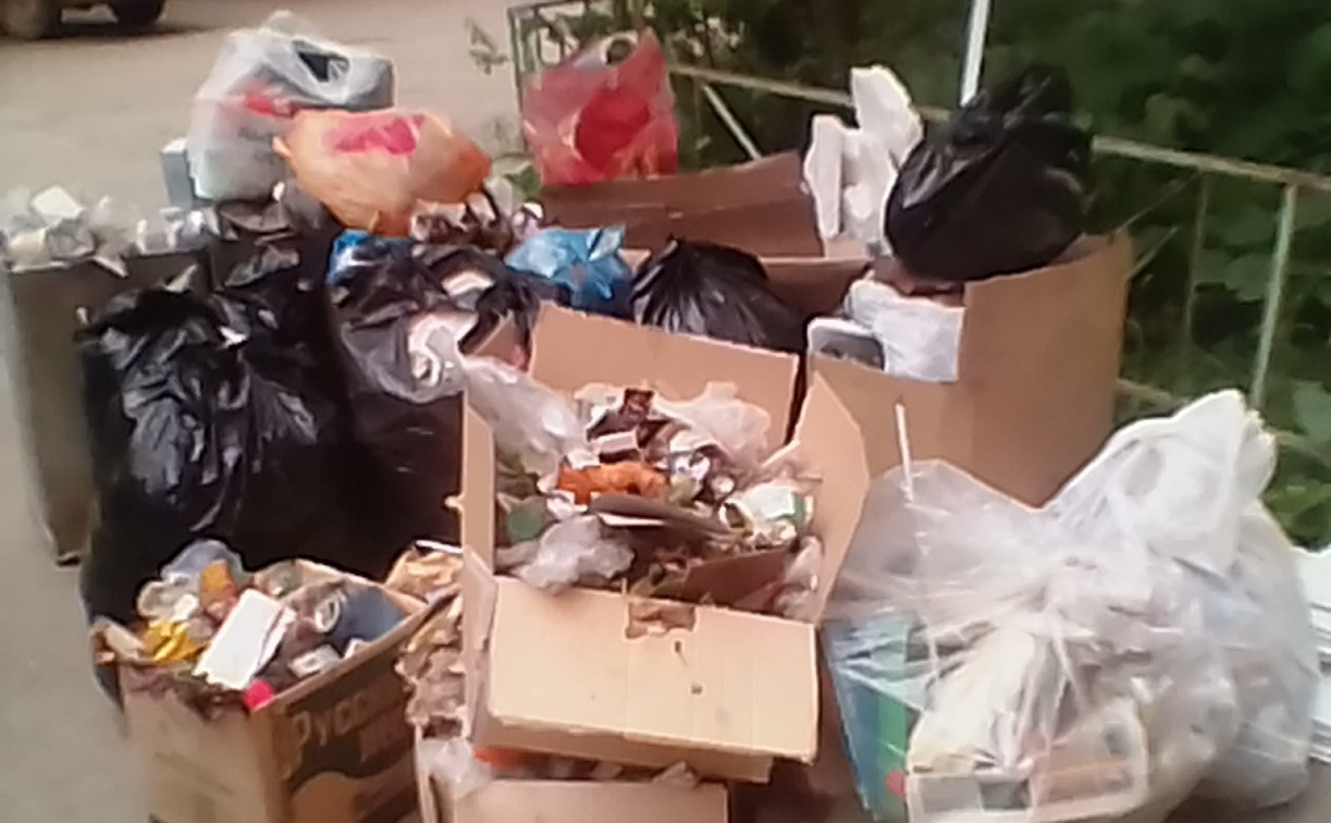 Туляки: «УК «Ремжилхоз» предложила нам самим купить бачки для мусора»