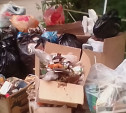 Туляки: «УК «Ремжилхоз» предложила нам самим купить бачки для мусора»