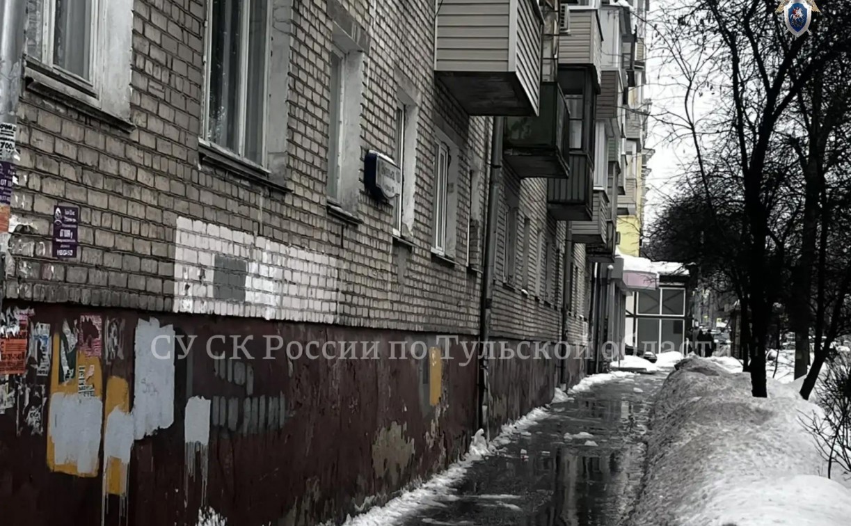 В Туле наледь упала на голову подростка: следователи ищут свидетелей 