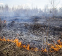 В Тульской области сохраняется высокий уровень пожароопасности