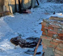 В Чернском районе ревнивец забил сожительницу черенком от лопаты