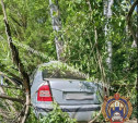 В Ясногорском районе водитель Skoda улетел в кювет и врезался в дерево 