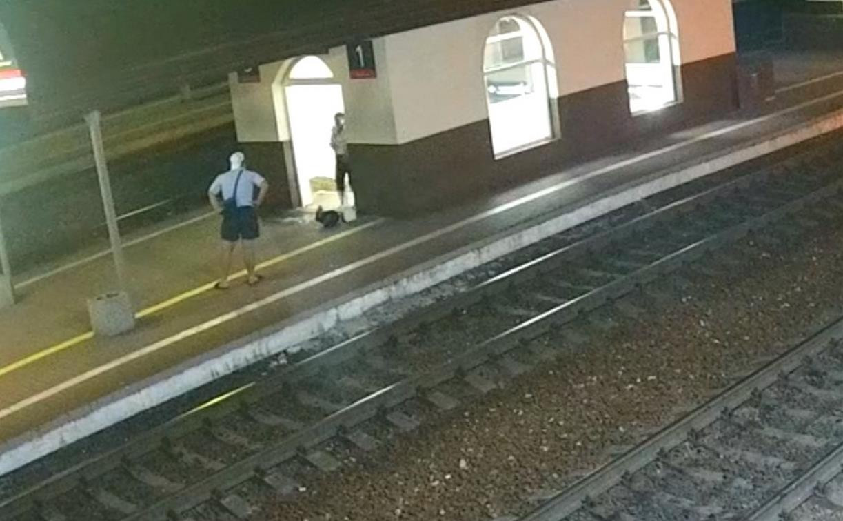 Житель Плавска опоздал на поезд, расстроился и разбил окно в подземном тоннеле: видео