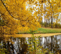 В Центральной России наступит грибной сезон и золотая осень