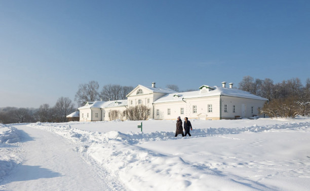 Погода в Туле 9 февраля: морозно и небольшой снег
