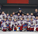 Юные тульские спортсмены победили в Кубке Федерации хоккея Москвы