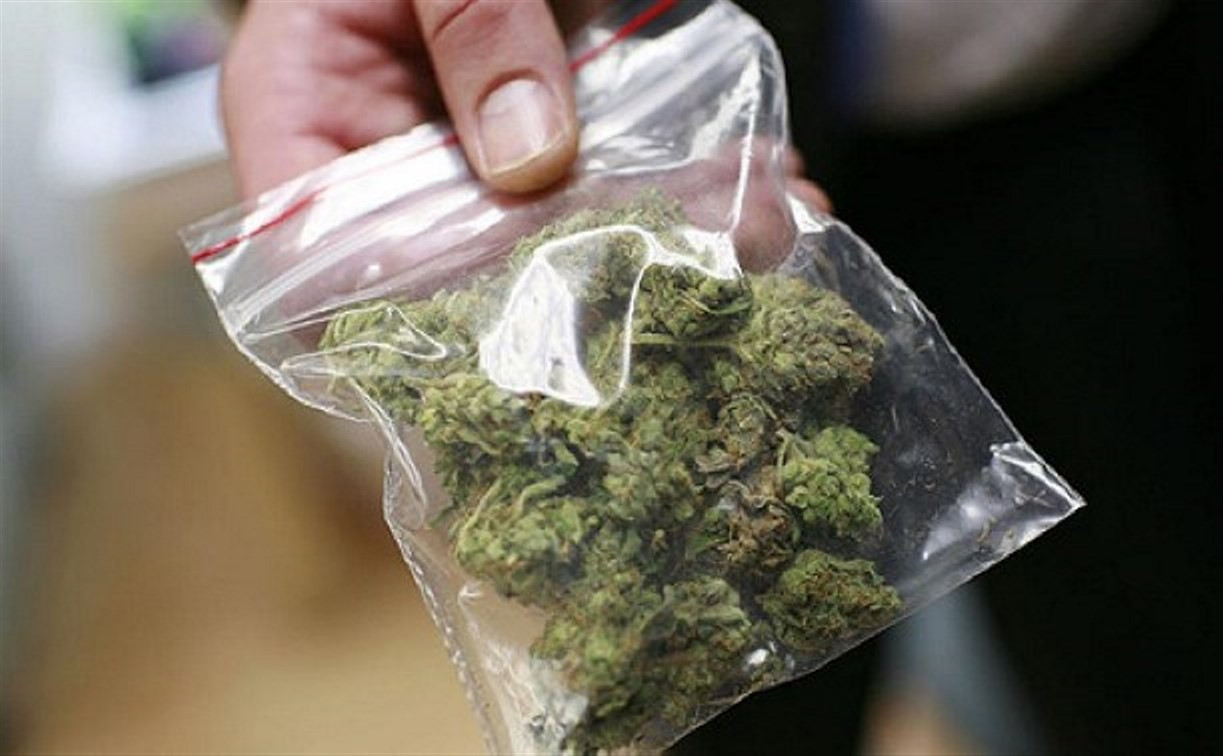 В Богородицке полицейские обнаружили у местного жителя пакет с марихуаной