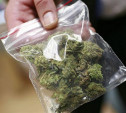 В Богородицке полицейские обнаружили у местного жителя пакет с марихуаной