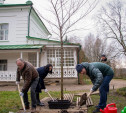 У Дома Льва Толстого в Ясной Поляне посадили молодой вяз
