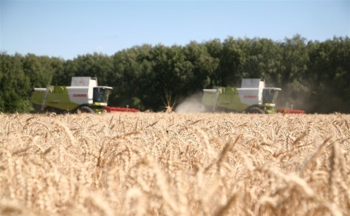 В Тульской области уровень зарплаты в сельском хозяйстве вырос на 14,66%