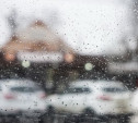 Погода 28 февраля в Туле: облачно, днем мокрый снег