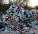 Экологи бьют тревогу: в Тульскую область вывозят мусор из подмосковных супермаркетов