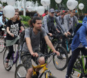 Сотни туляков приняли участие в большом велопараде: фоторепортаж