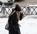 В конце недели в Центральную Россию придут снегопады