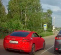 В Туле встретили красного нарушителя ПДД в стразах