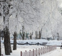 Погода в Туле 8 февраля: снег, туман и гололёд