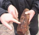 В Щегловской засеке нашли снаряды времен ВОВ