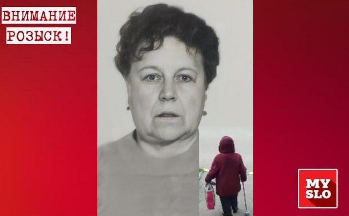 Пропавшая пенсионерка в Туле: поисковики просят записи видеорегистраторов от 15 сентября
