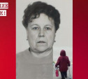 Пропавшая пенсионерка в Туле: поисковики просят записи видеорегистраторов от 15 сентября