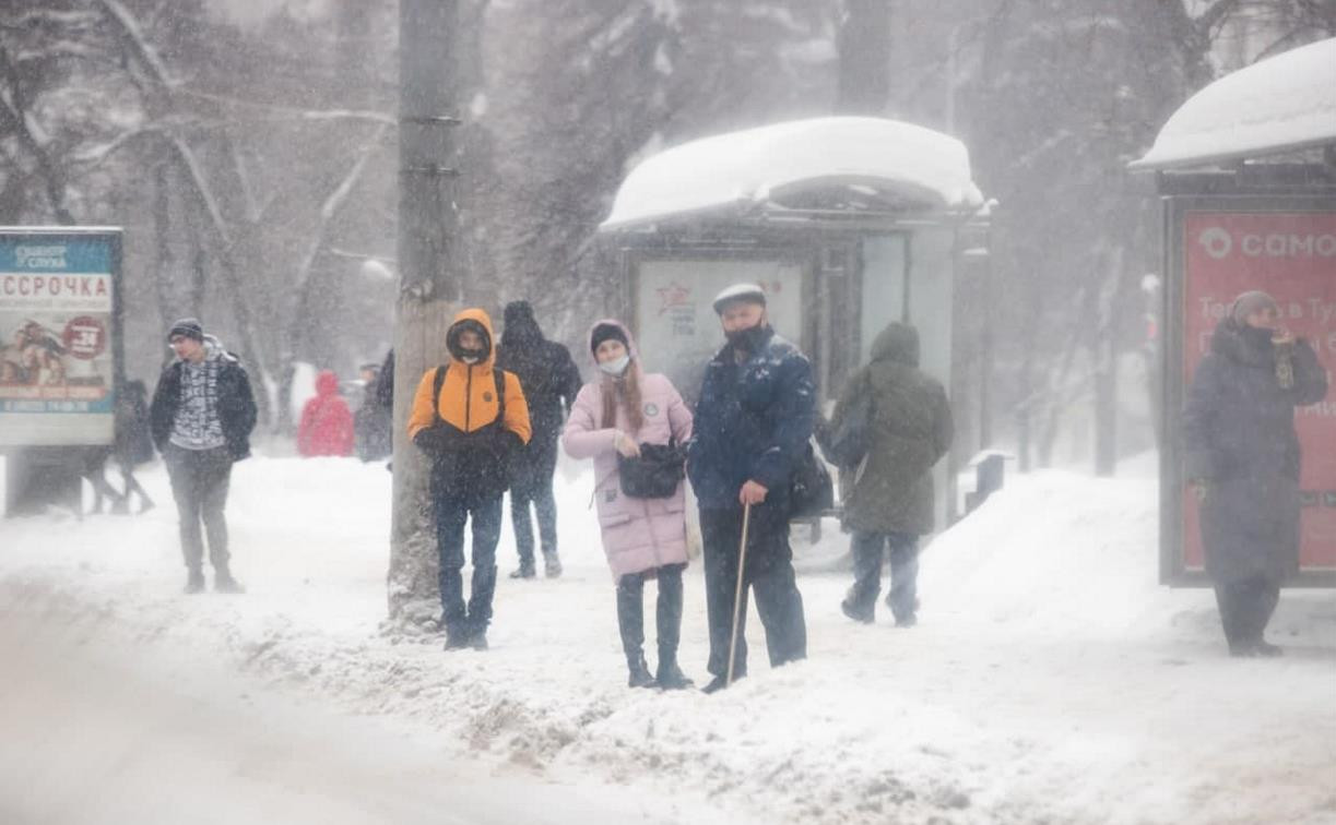 Погода в Туле 10 февраля: мокрый снег, гололедица и ветер